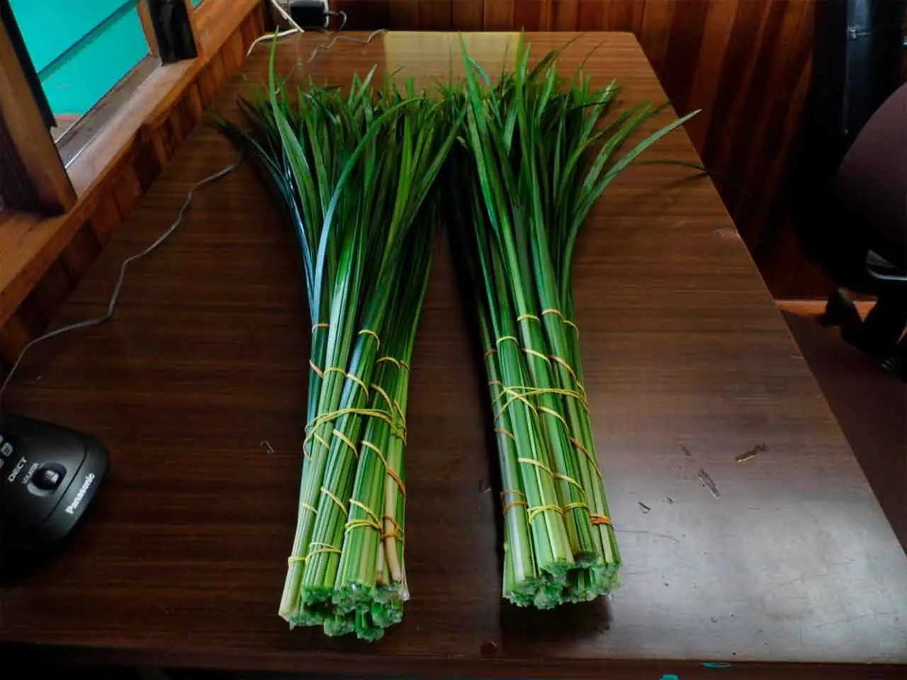 Liriope Ever Green on our farm in Poás, Costa Rica (photo 7)